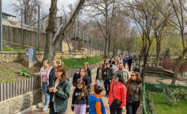 Mai aproape de natură Grădina zoologică a organizat o excursie pentru copiii cu nevoi speciale