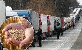 Украина и Польша договорились о возобновлении транзита зерна
