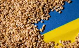 Importurile de cereale în România din Ucraina ar putea fi interzise