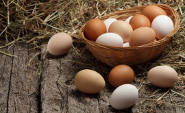 Activitatea agricolă în ianuariemartie Producția de ouă sa majorat