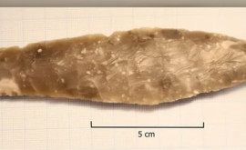 Норвежская девочка нашла кремневый кинжал каменного века 