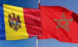 Марокканские компании заинтересованы в сотрудничестве с агропроизводителями Молдовы