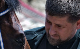Kadîrov spune că șia recuperat calul preferat cu ajutorul spionilor ucraineni