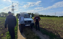 Граждане Украины пытались незаконно пересечь границу 