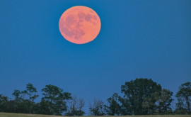 Редкое астрономическое явление в небе Англии запечатлели клубничную Луну
