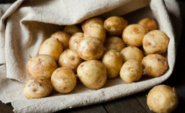 În Moldova prețul cartofilor noi a început să scadă