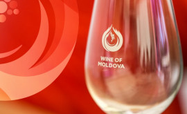 Объявлен конкурс на должность директора Национального бюро винограда и вина