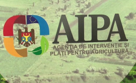 Clarificările AIPA în contextul protestelor agricultorilor