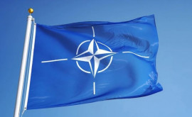 Opinie Nu se pune problema unei eventuale aderări a Moldovei la NATO