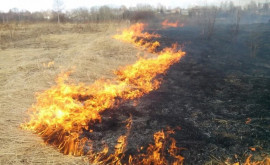 Incendiu puternic de vegetație la Tiraspol