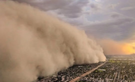 Облако пыли из Сахары дошло до Европы