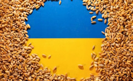 Польша согласовала с соседними странами продление запрета на ввоз зерна с Украины