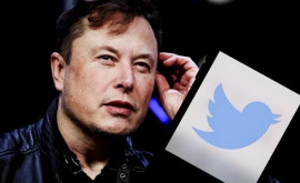 Илон Маск заменит логотип в Twitter