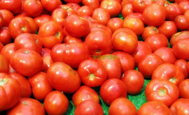 Мнение У нас так много хороших помидоров но мы попрежнему ввозим с пестицидами