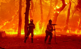 Stare de alertă în Grecia Regiunile cu risc extrem de incendiu