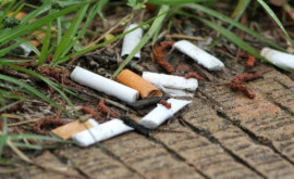 Mucurile de țigară amenințare pentru mediu