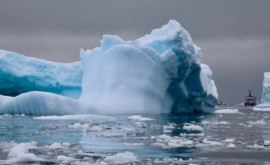 Oamenii de știință au crescut primii harbuji în Antarctica