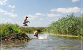 Setea de adrenalină îi costă sănătatea Zeci de tineri rămîn paralizați după ce sar cu capul în apă