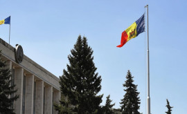 Мнение Стратегические предприятия Молдовы нельзя отдавать в частные руки
