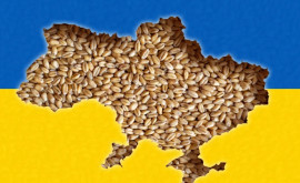 Румыния удвоит свои способности транзита украинского зерна
