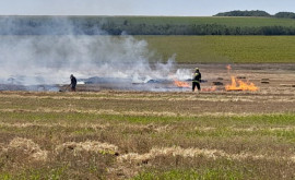 Пожарные борются с возгоранием сухой растительности