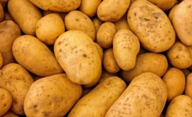 Когда в Молдове снизятся цены на картофель 