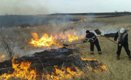 Рекомендации Агентства по охране окружающей среды по предотвращению пожаров 