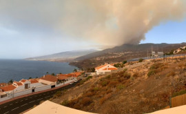 Лесной пожар на Тенерифе стабилизирован