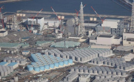 Китай может временно приостановить импорт японской аквапродукции
