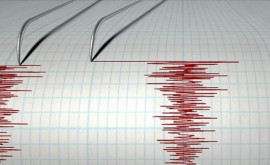 Insula Bali zguduită de un cutremur cu magnitudinea 71