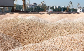 Ucraina propune Turciei să reia coridorul de cereale fără Rusia