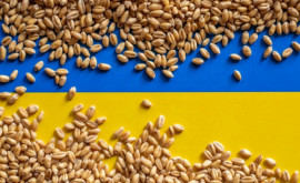 Румыния согласилась на компромисс Еврокомиссии по импорту украинского зерна
