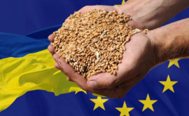 UE îndeamnă Polonia Ungaria și Slovacia să fie constructive în privința cerealelor din Ucraina