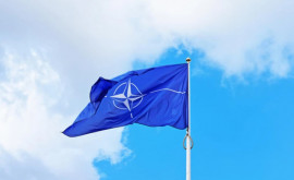 Австрийская пресса Румыния блокирует Австрию в НАТО чтобы отомстить за вето на Шенген