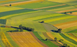 Франция инвестирует миллионы долларов в развитие сельского хозяйства