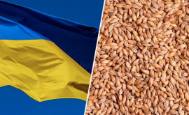 Украина ввела лицензирование зерна в Восточную Европу и пока не экспортирует его