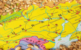 Румыния вводит механизм авторизации импорта зерна из Молдовы и Украины