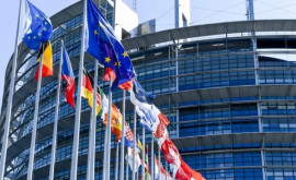 Experți despre Rezoluția Parlamentului European privind Republica Moldova
