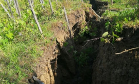 Alunecări de teren la Bucovăț mai multe gospodării sînt în pericol