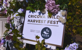 Дипломаты чиновники и бизнесмены приняли участие в Cricova Wild Harvest Fest
