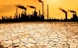 Încălzirea solului un alt pericol al schimbărilor climatice antropice
