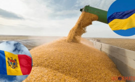 Украина намерена удвоить экспорт зерна через Молдову и Румынию 