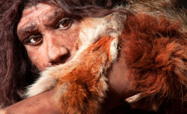 Oamenii de Neanderthal îndrăzneau să vâneze leidepeşteră studiu