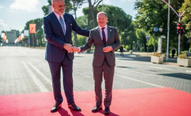 Шольц едва не заблудился на красной ковровой дорожке в столице Албании
