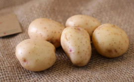 Что происходит с ценами на картофель в Молдове 