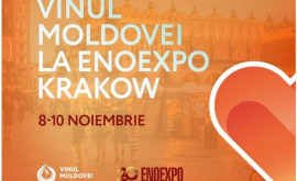 Vinurile moldovenești vor fi prezentate la un Tîrg Internațional de Vinuri din Polonia