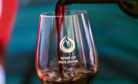 Vinul moldovenesc cucerește Coreea de Sud