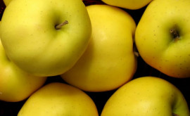 Турция ищет поставщиков яблок из Молдовы для реэкспорта