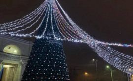В столице скоро откроется Новогодняя елка