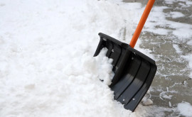 Примэрия Кишинева призывает управляющих жилым фондом убирать снег вокруг зданий